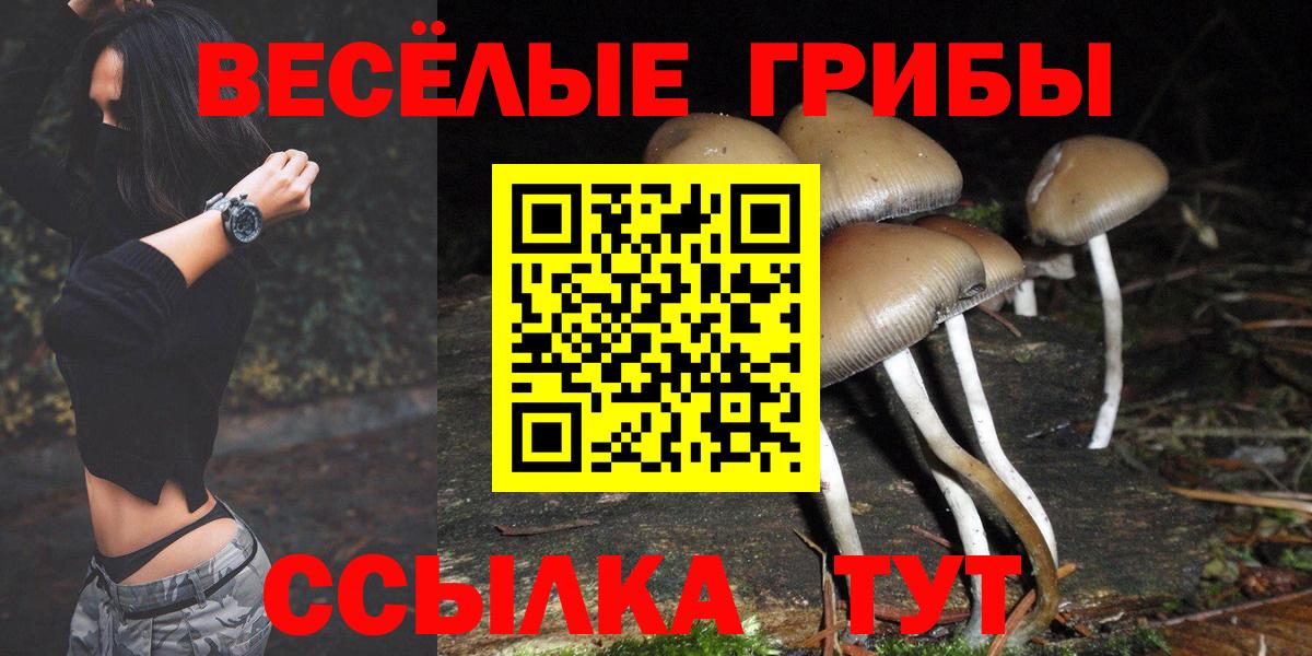 Галлюциногенные грибы ЛСД  Вход с VPN  где продают   Галлюциногенные грибы ЛСД  Медногорск 