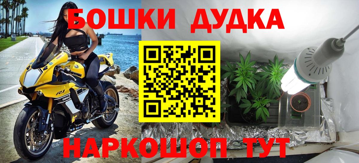 Шишки марихуана семена  Бошки Шишки AK-47  Медногорск  Вход с VPN 